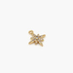 Dije Chapa de Oro Estrella Zirconia 48