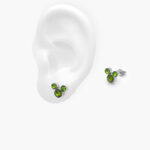 Broqueles Acero Inoxidable 0037
