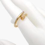 Anillo Clavo Acero Inoxidable 21
