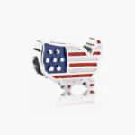 Charm Plata .925 Rodio Mapa USA 447