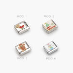 Charm Acero Inoxidable Nomination Grupo 39