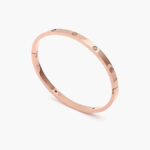 Brazalete Acero Inoxidable Tornillo 4mm. 0691 - Imagen 2